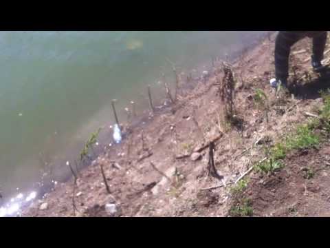 ლოქო 17.07.2016