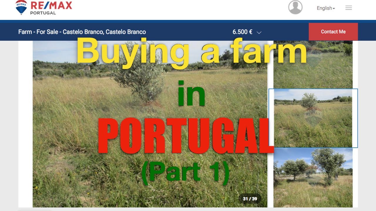 Journey to Buying a FARM in PORTUGAL (Part 1) YouTube
