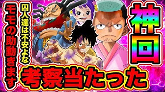 ワンピース950 Youtube