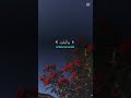 وفي السماء رزقكم ❤️ تلاوة روحانية جميلة خاشعة ❤️ #قران_كريم ❤️