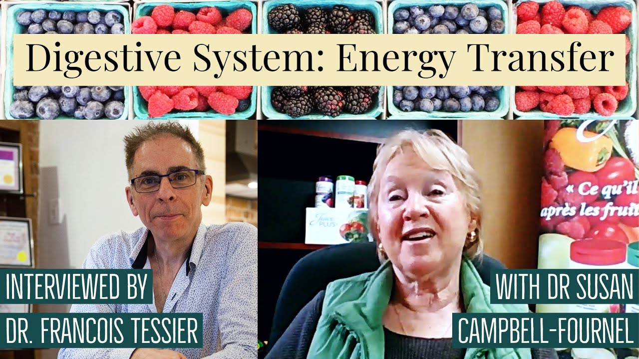 NUTRITION FACTS: 5 - Digestive System, Energy Transfer | HOLISTIC HEATH | MINDFUL EATING