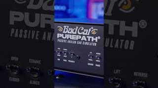 Nothing digital about the Bad Cat Purepath 🎸 #badcat #badcatpurepath #loadbox #guitaramp #purepath