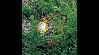 Kinji - pocketwatch