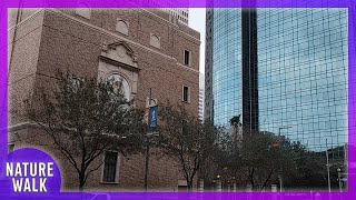 Morning walk in Houston on a cold day (City Walk Visualizer)