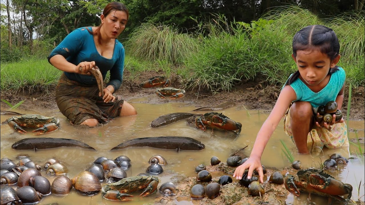 Catch fish. Crabs .snail for food/ Grill fish spicy & boiled snail- Boiled crabs soup so delicious