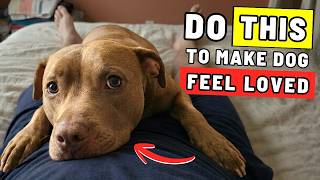 Psychology of How Dogs Feel Your Love (5 Ways To Show It Daily!)