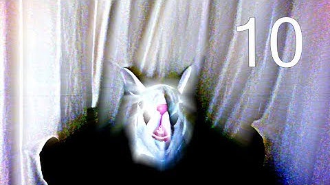 NetMoverSitan Plays - .T.E.S.T: Expected Behaviour - Part 10 - Mashing Option