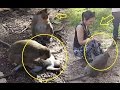 Monkey playing with beautiful girl, monkey meeting tourist,Monkey playin...