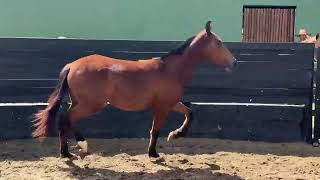 33   JAZIDA CABOCLA RECANTO DA FÉ