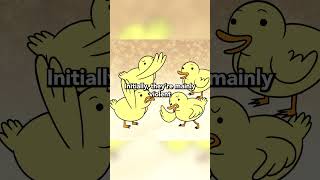 I wouldn't have been mad at a baby ducks spinoff #regularshow #cartoonnetwork #cartoons
