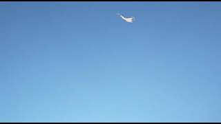 Kak Sekak An Suara Desel