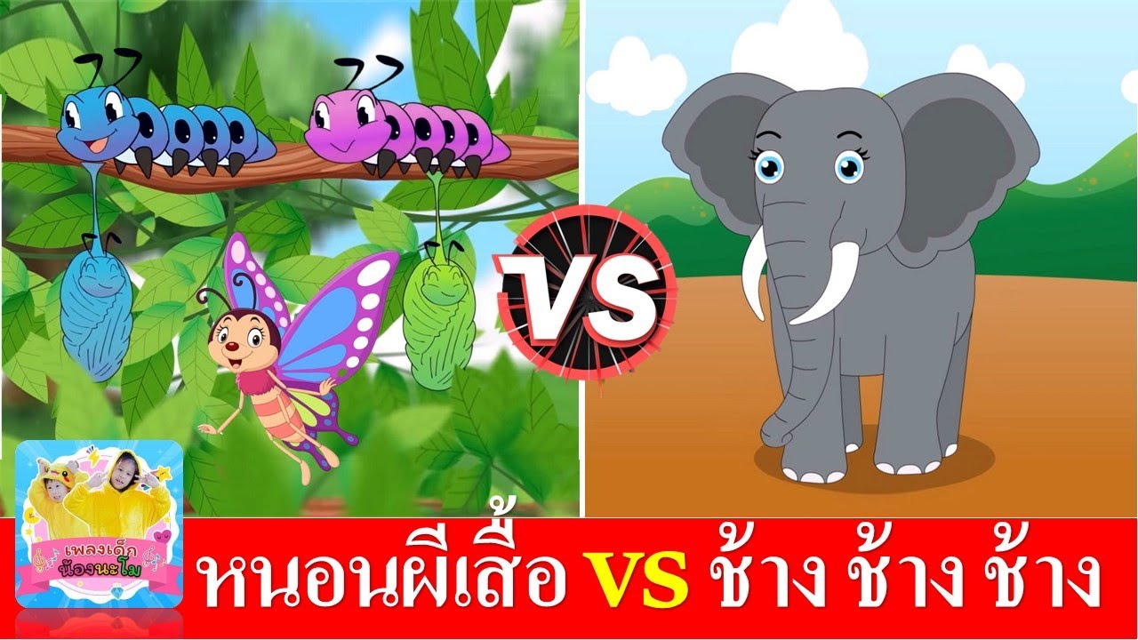 หนอนผีเสื้อ vs ช้าง ช้าง ช้าง | เพลงเด็กในตำนาน เรียนรู้เรื่องสัตว์ | สื่อการเรียนการสอน