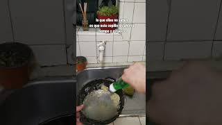 👀mira  la velocidad de este cepillo 😱#mama #cleaning #cleaninghacks #cocina #casa