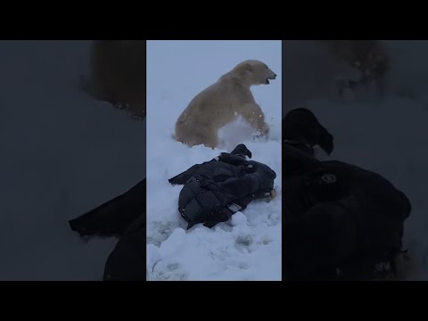 Video: Perkara terbaik untuk dilakukan di taman permainan sepanjang tahun di Squamish, British Columbia