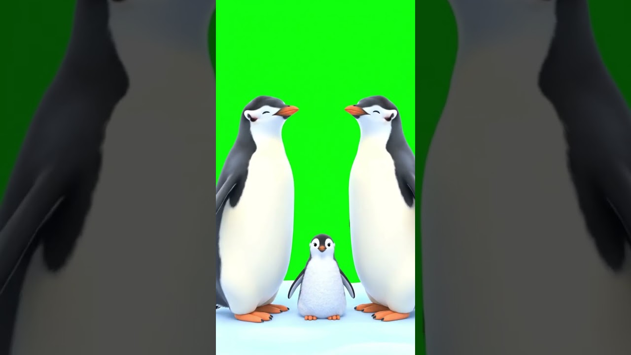 Penguin Family Hug Green Screen | Penguin Awareness Day NCR Loop 05