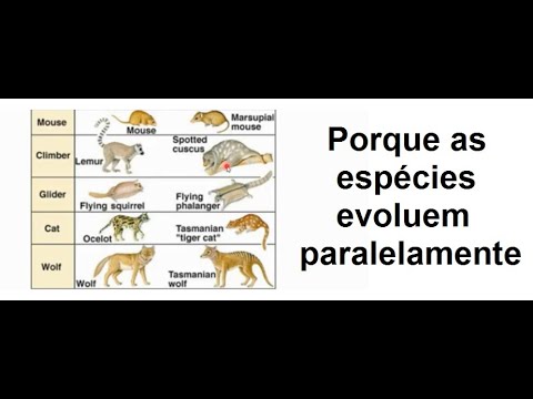 Vídeo: Quando os marsupiais evoluíram?