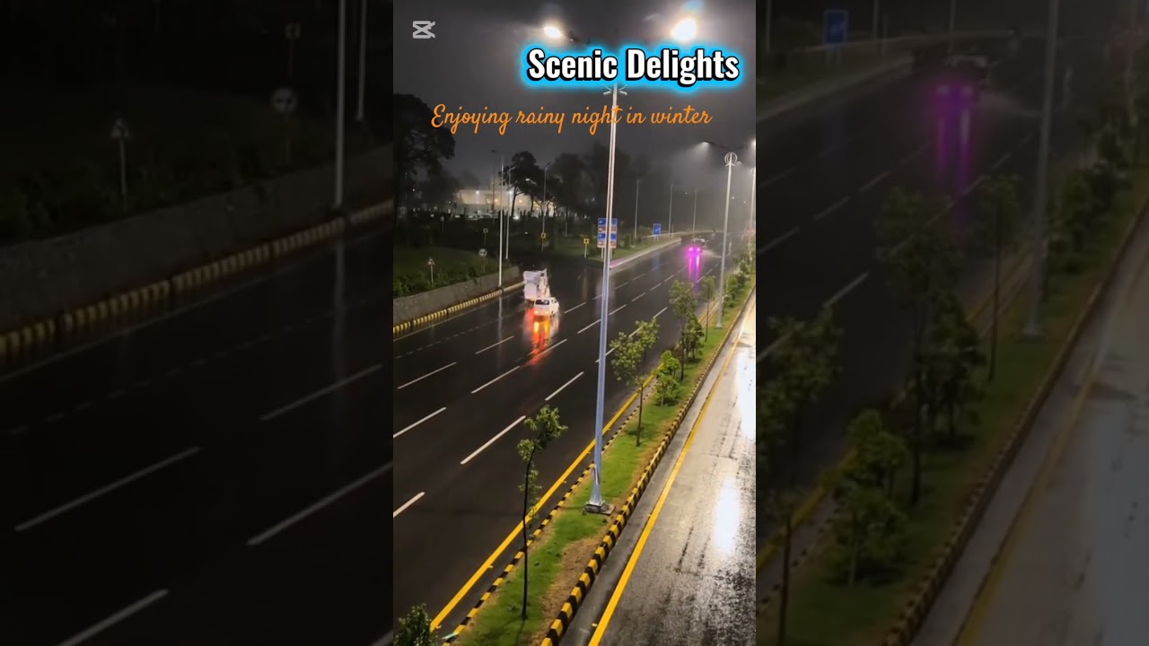 Cozy Winter Rain 🌧️ Wet Roads & City Lights 