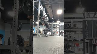 squat everyday 380