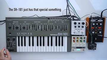 Roland SH-101 - classic synth sound with Chroma Console, Bastl Kastle ARP, Moogerfooger, Polymoon