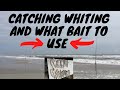 Fishing florida whiting and how to catch whiting from the surf surfcasting whiting in jacksonville