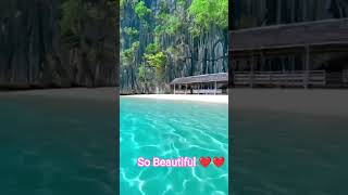 @Beautiful ❤️ Place#shorts #viral #nature of Beauty 🌴🌺🌿