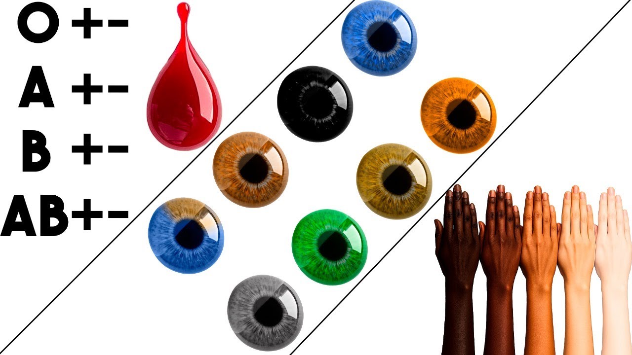 Every Hidden Avantage of Your: Blood Type, Eyes and Skin Color Explained