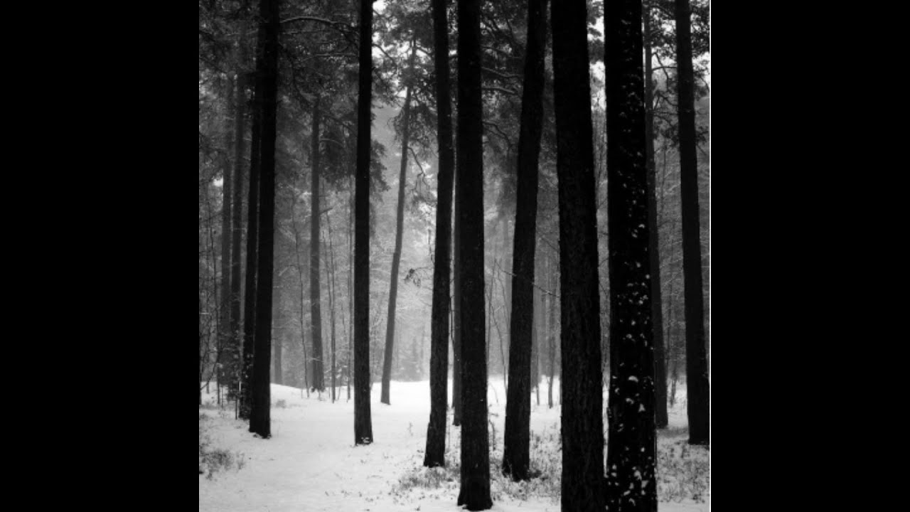 [FREE] *Free* Indie Rock Type Beat - "Florida Keys"  | Alternative Type Beat | 120 BPM | Calm