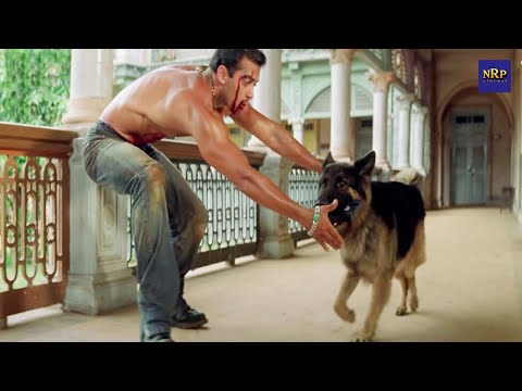 कुत्ते की वजह से सलमान खान गिरफ्तार होने से बचा | Tumko Na Bhool Paayenge Last Fight Scene