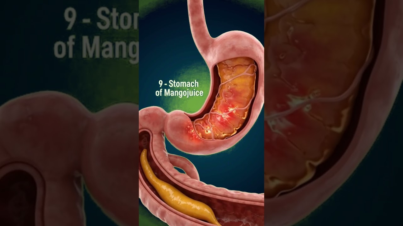 What Happens to Mango juice inside Your Body 🧠😱 