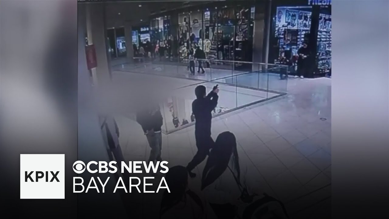 Juvenile justice system under scrutiny following San Jose Black Friday shooting