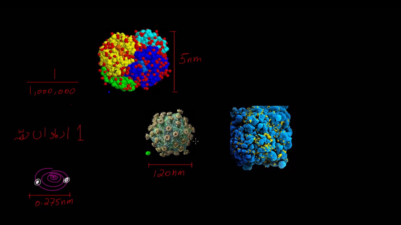 Scale of Cells | Structure of a Cell | Biology | Khan Academy Urdu