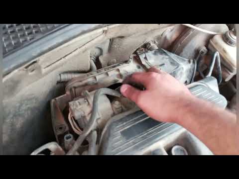 ازاي تنظف علبة البيئة بنفسك بطريقة ناجحة وسهلة جدا