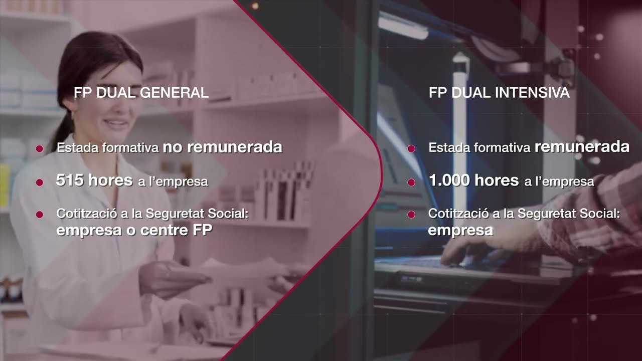 La nova formació professional 