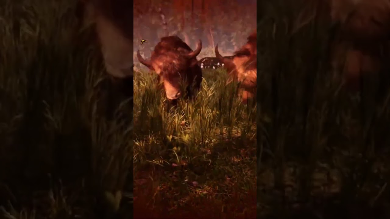 KORKTUM LAN LWMXLWKDO 