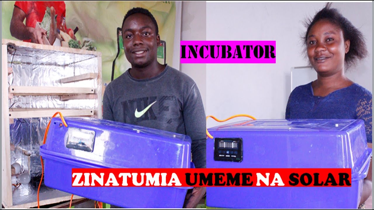 INCUBATOR ZA KUANGUA VIFARANGA ZINATUMIA SOLAR NA UMEME