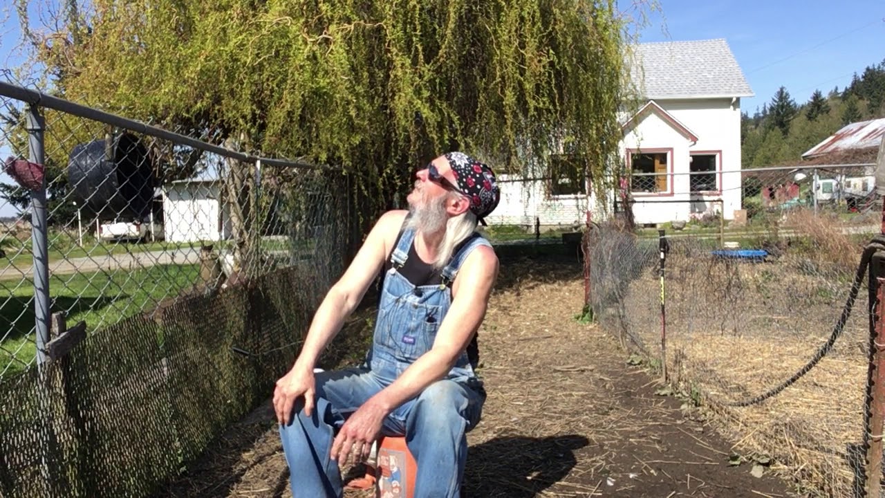 More Jackin Cedar and other crimes