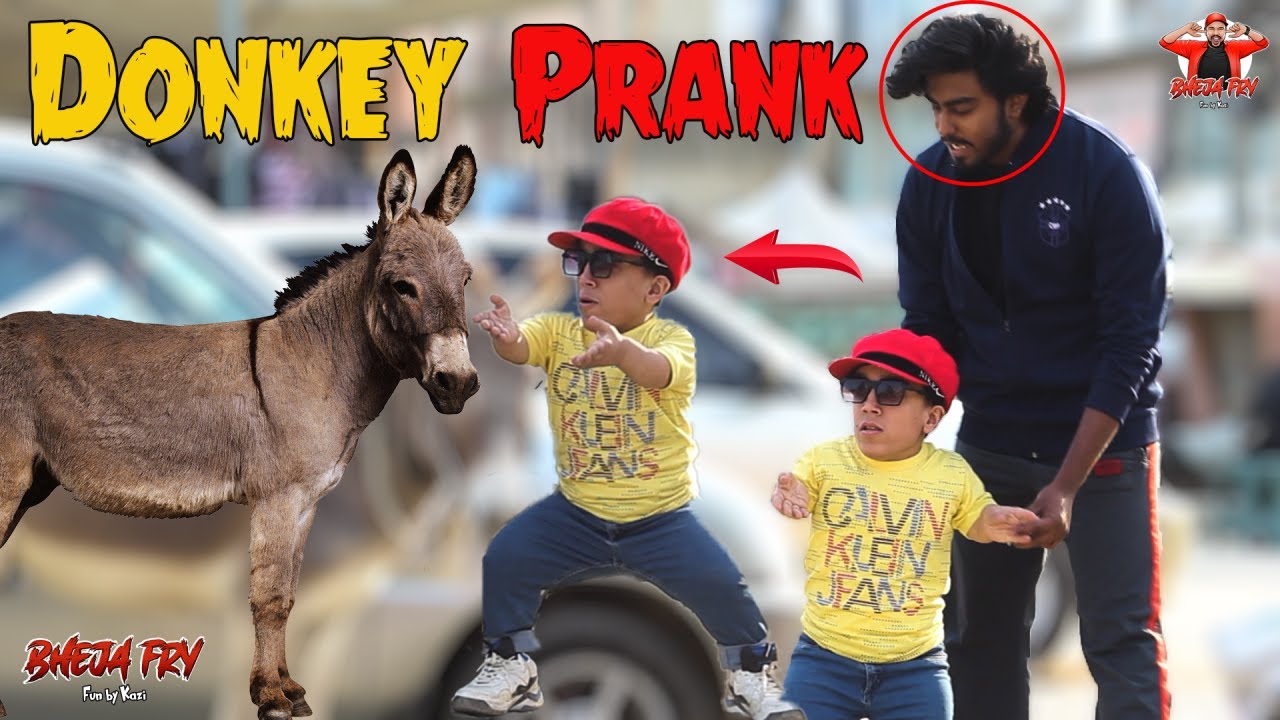 Funny Donkey Prank - Most Funny Reactions 2024