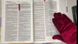 3/25/24, Psalm 128, Proverbs 25, Numbers 32:1-42, Acts 9:1-43 Old and New Testament Readings