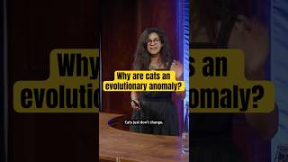 Why cats are purrfectly evolved #shorts #science #cats #evolution #biology