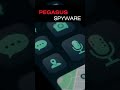 PEGASUS EXPLAINED IN 30 SEC