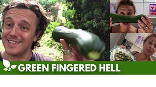 Gfh - And Lo ... A Kitchen Garden Was Born