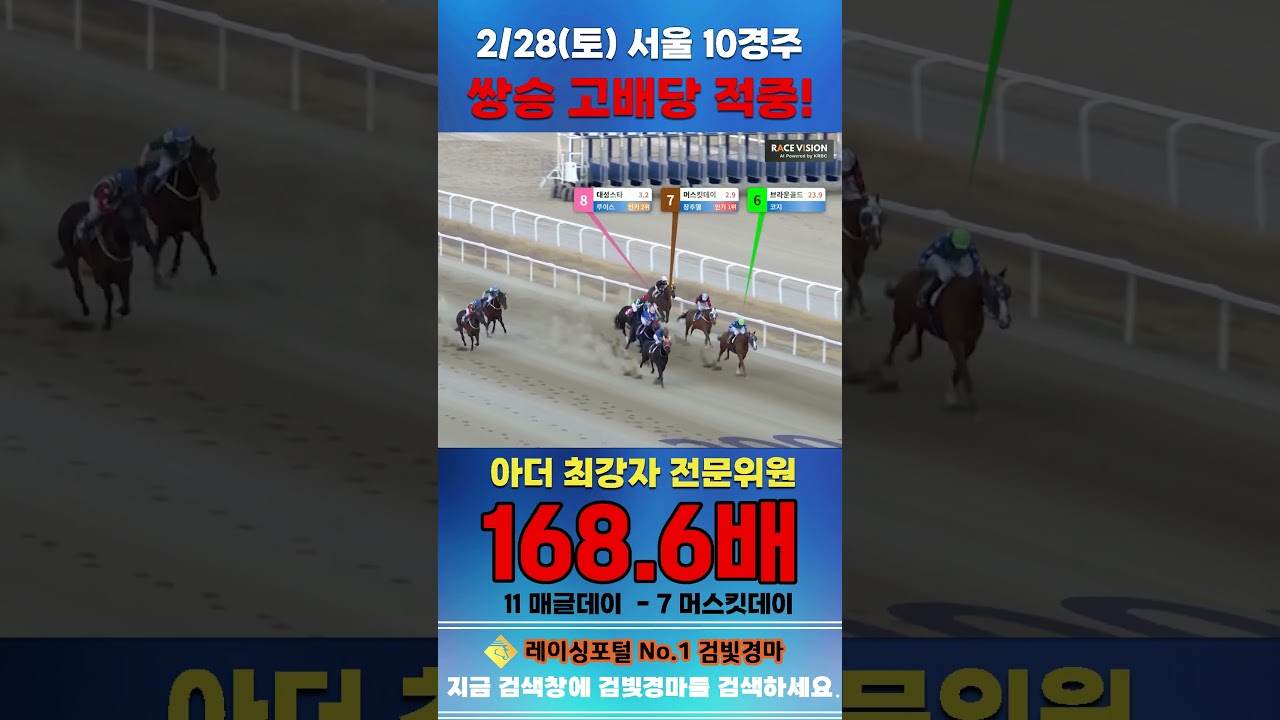 [서울 경마] 2월 28일 토요 10경주 아더 최강자 전문위원 쌍승 고배당 적중 #경마 #horse #하이라이트 #automobile #한국마사회 #riding #sports