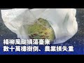 風颱影響台灣
