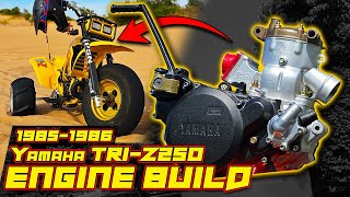 How to Build a Yamaha TRI-Z 250 Engine | 1985 - 1986 Full Build Step by Step by Michael Sabo 39,327 views 5 months ago 1 hour, 38 minutes