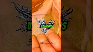 Famous This man found a real life pokemon,  but.. 😲💀 Net Worth