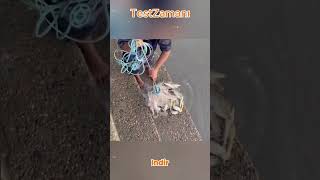 Parmak İndir Meydan Okuması | Sen Ne Kadar Özelsin? 🤔🔥#Parmakİndir #MeydanOkuma #EğlenceliVideo