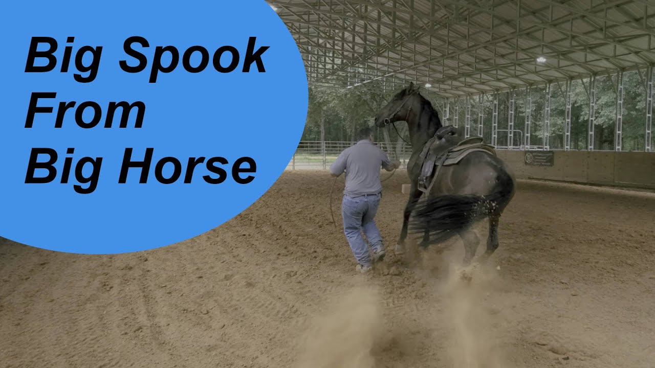 Big Horse with some issues