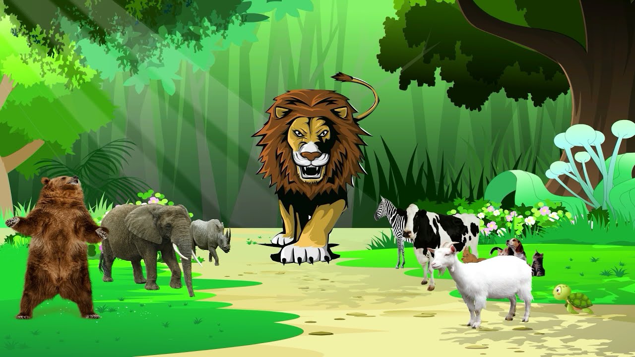 第六集fantasy cartoon,fantasy cartoon movies,fantasy cartoon movies full movie english,fantasy cartoon。