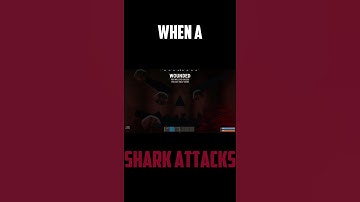 Rust -  When A Shark Attacks