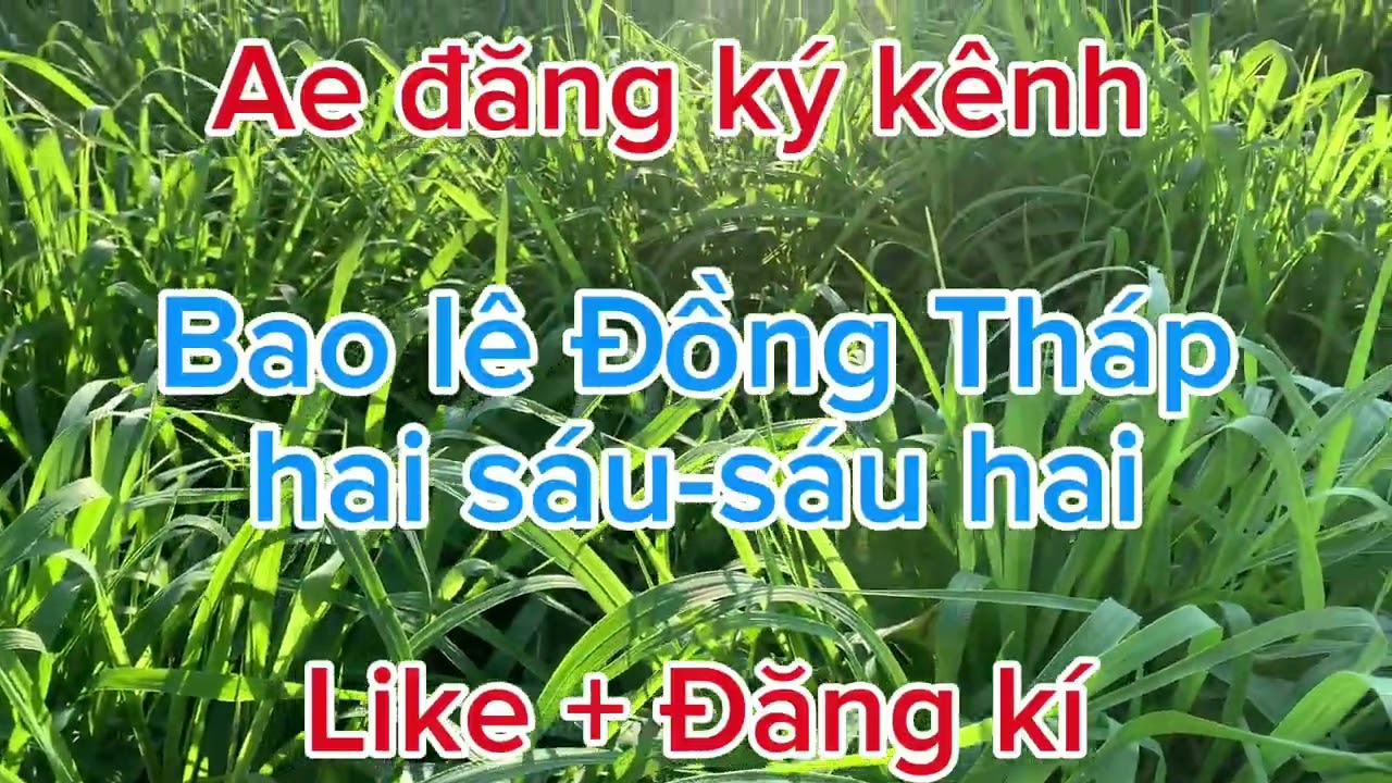 Tặng ae bao lê hai só nam-trung-bác ngày: 2/3/2026